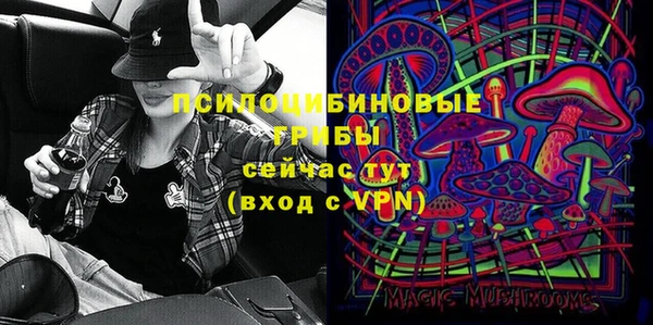 индика Алексеевка