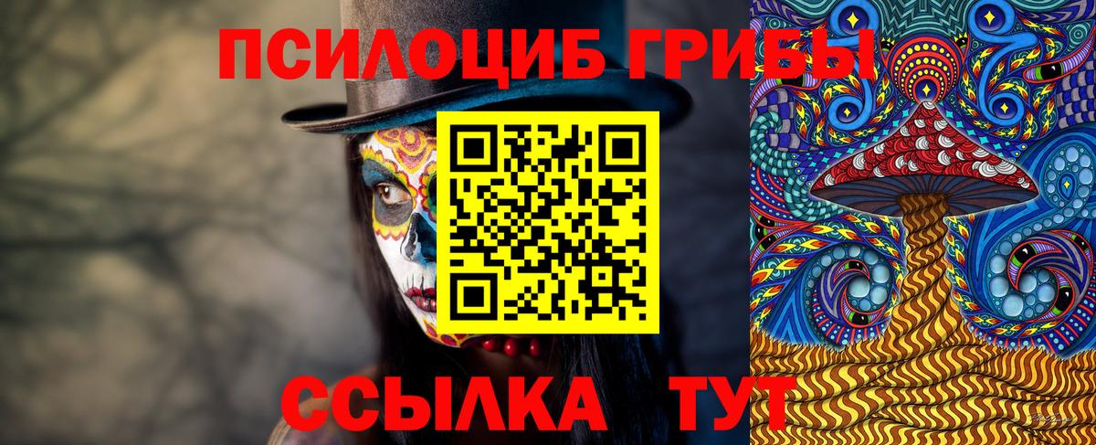 Псилоцибиновые грибы ЛСД  Вход с VPN  сколько стоит  Псилоцибиновые грибы прущие грибы  Нальчик 